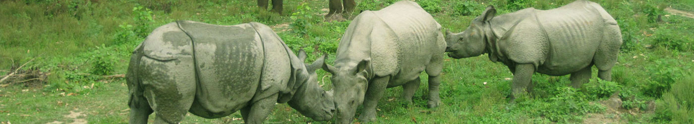 Nepal Shukla Phanta Wildlife Reserve was managed as a hunting reserve beginning in 1969.